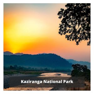 Kaziranga National Park Kaziranga National Park