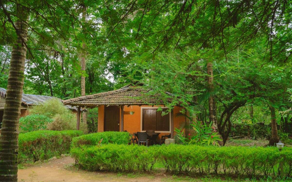 Forest cottage stay at Natures Nest Goa surrounded by lush greenery during Goa Herping Monsoon Trail experience
