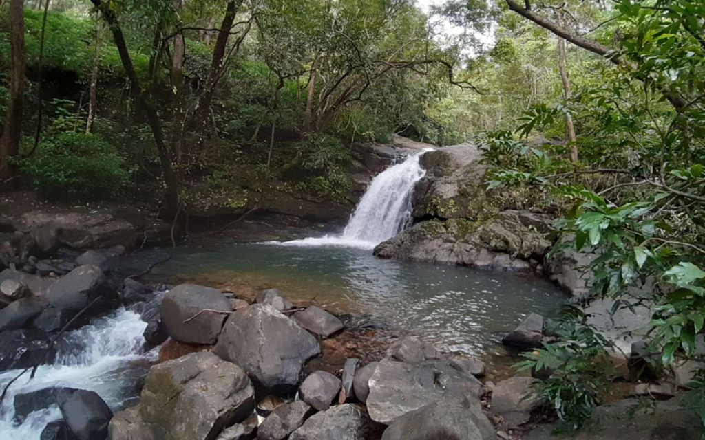 Hidden forest waterfall surrounded by rocks and greenery during Goa monsoon trail