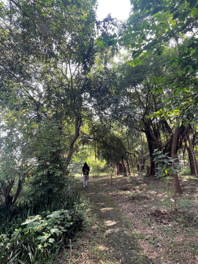 Guided forest trail through lush tropical greenery during Goa Herping Monsoon Trail nature experience